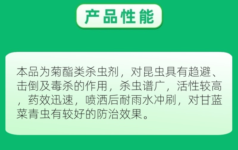 山东邦赛克10%高效氯氟氰菊酯农用甘蓝菜青虫快速杀虫剂