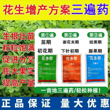 花生套餐三遍药促花下针分杈膨果控旺增产防根腐病白绢病防衰