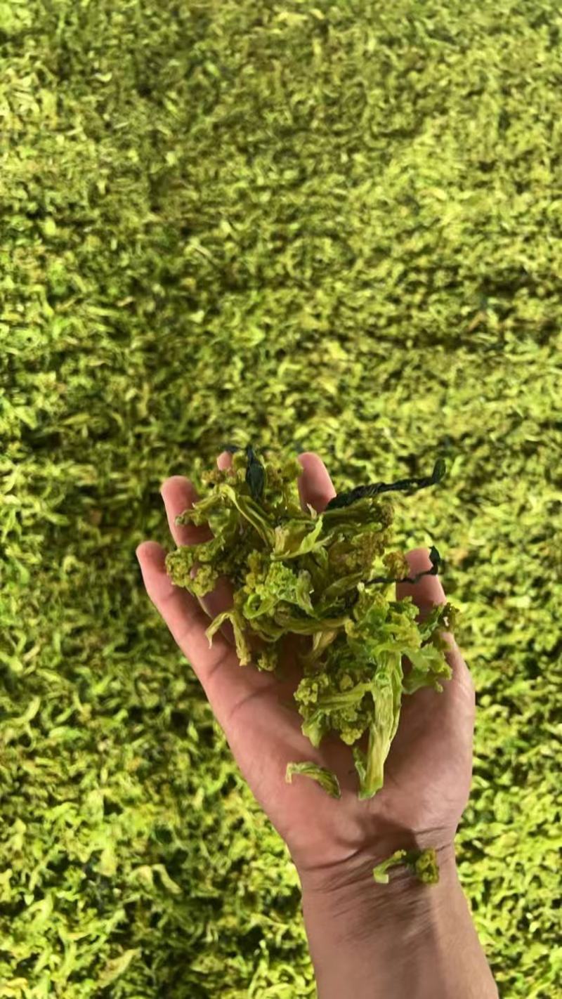 花菜干有机花菜干脱水菜花干品质好价格实惠口感好大人小孩皆易