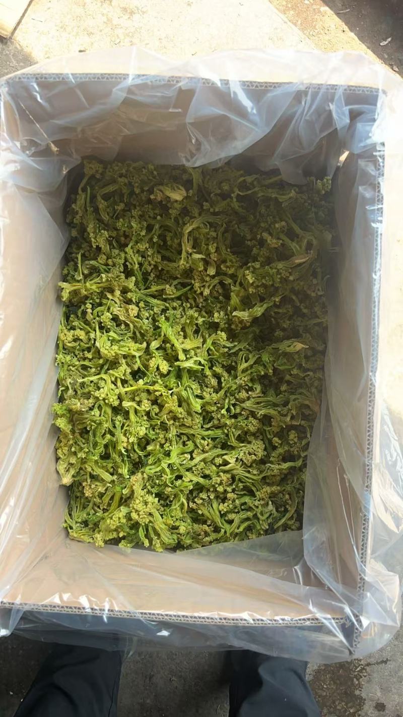 花菜干有机花菜干脱水菜花干品质好价格实惠口感好大人小孩皆易