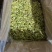 花菜干有机花菜干脱水菜花干品质好价格实惠口感好大人小孩皆易