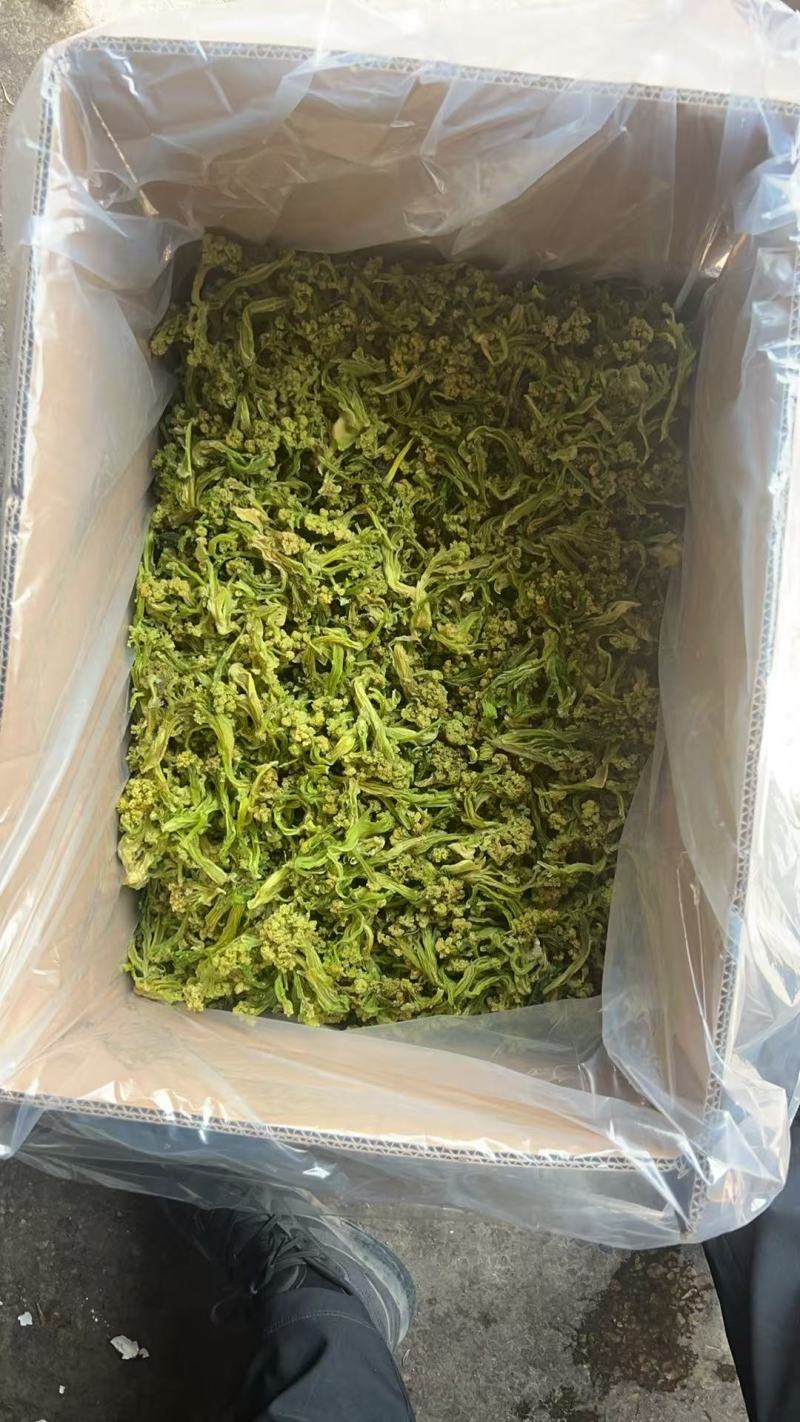 花菜干有机花菜干脱水菜花干品质好价格实惠口感好大人小孩皆易