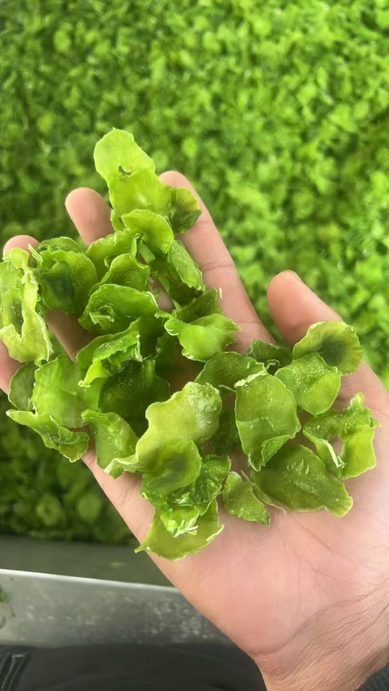 推荐莴笋干脱水莴笋片易保存营养丰富厂家直发价格实惠欢迎联系