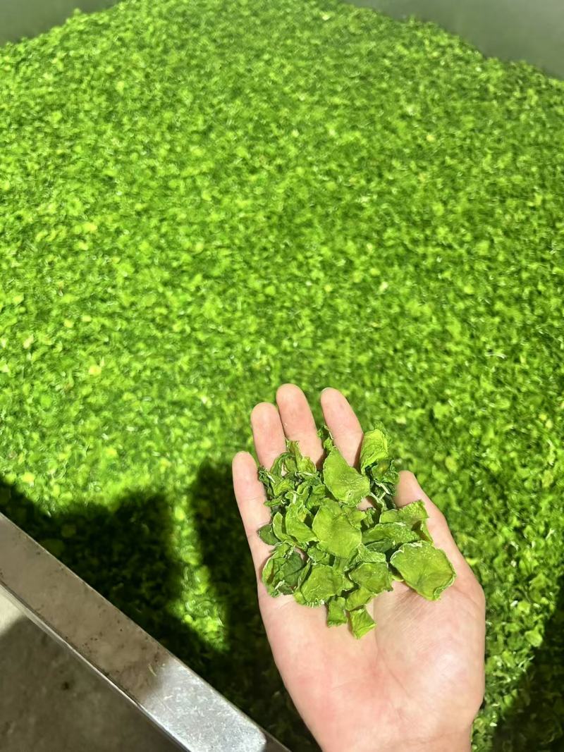 推荐莴笋干脱水莴笋片易保存营养丰富厂家直发价格实惠欢迎联系