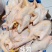 线鸡光鸡量大质优价格优惠一手货源欢迎咨询采购20起发
