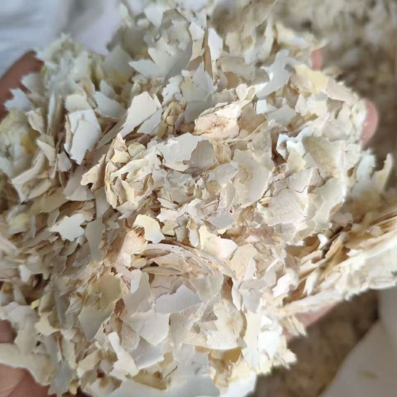 凤凰衣凤凰衣凤凰衣凤凰衣凤凰衣凤凰衣凤凰衣凤凰衣批发