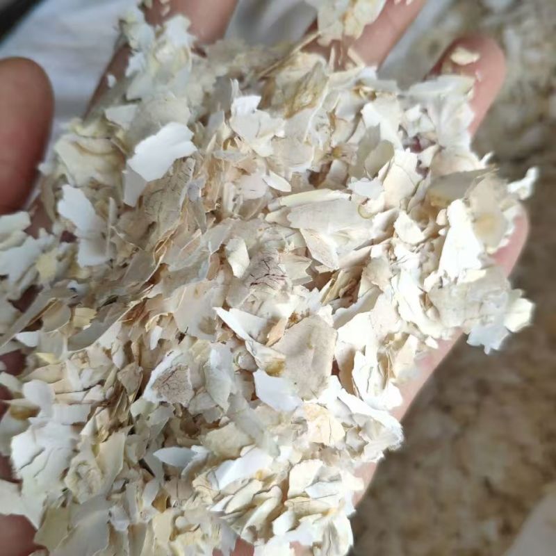 凤凰衣凤凰衣凤凰衣凤凰衣凤凰衣凤凰衣凤凰衣凤凰衣批发