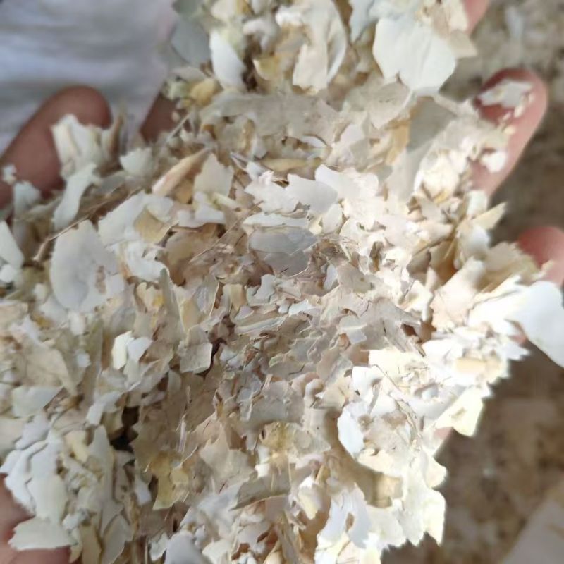 凤凰衣凤凰衣凤凰衣凤凰衣凤凰衣凤凰衣凤凰衣凤凰衣批发