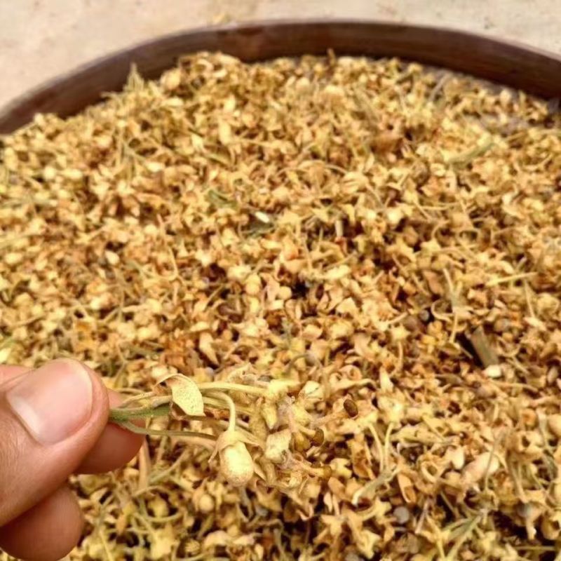 化橘红花雷州化橘红花化橘红花化橘红花化橘红花批发