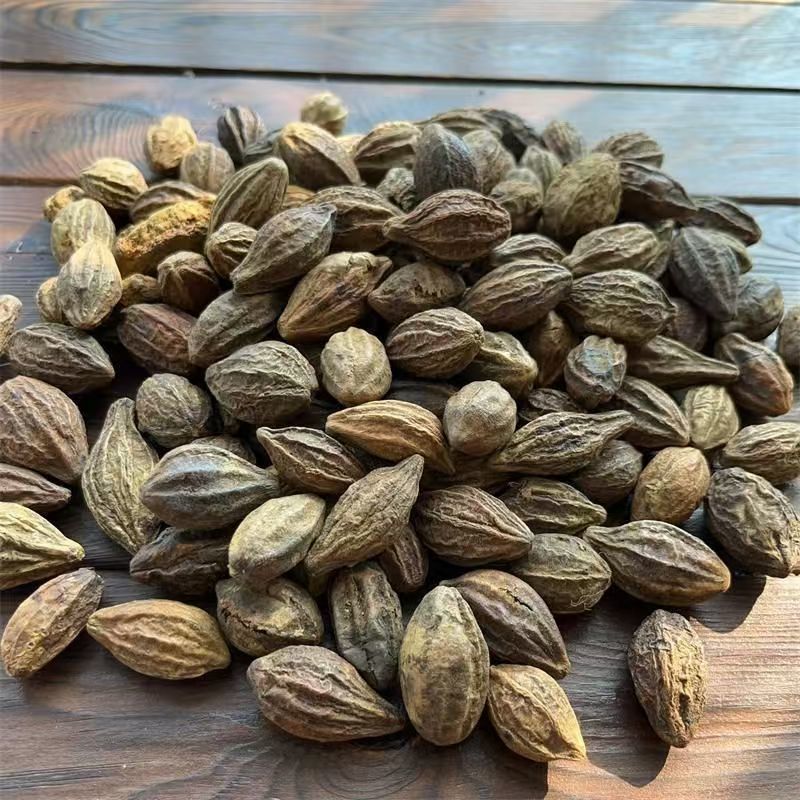 淫花果风流果诃子淫花果风流果批发