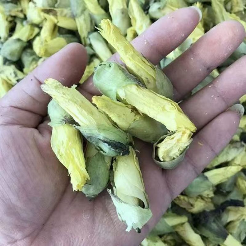 紫蜀秋葵黄蜀秋葵秋葵花紫蜀秋葵黄蜀秋葵秋葵花批发