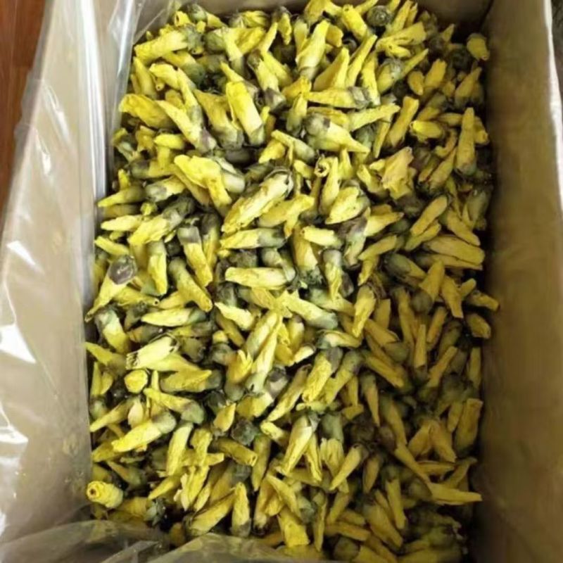 紫蜀秋葵黄蜀秋葵秋葵花紫蜀秋葵黄蜀秋葵秋葵花批发