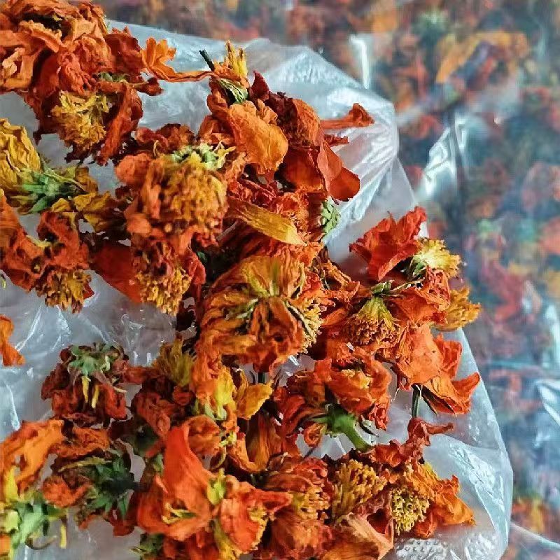 冰菊花冰菊新疆冰菊冰菊花冰菊新疆冰菊批发