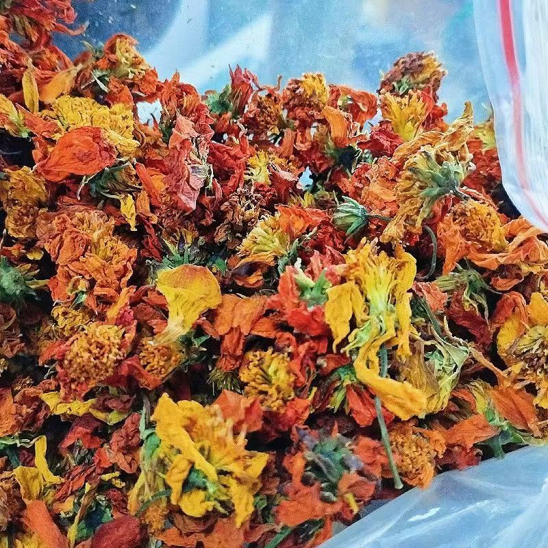冰菊花冰菊新疆冰菊冰菊花冰菊新疆冰菊批发