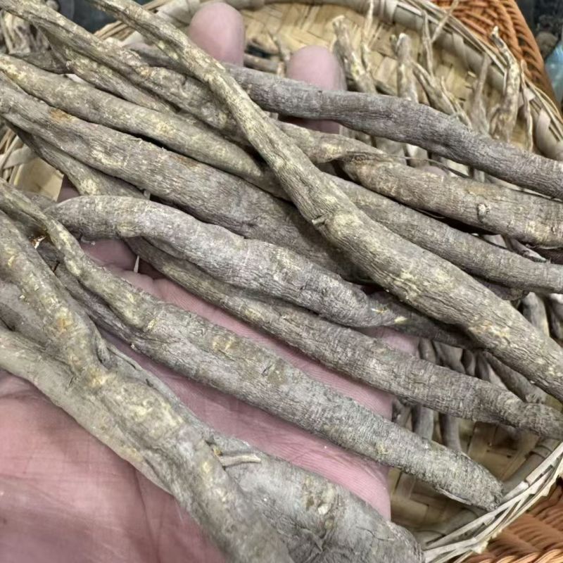 甜当归当归甜当归当归甜当归当归甜当归当归批发