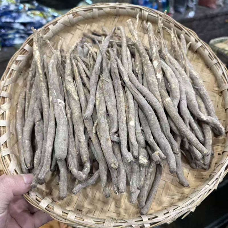 甜当归当归甜当归当归甜当归当归甜当归当归批发