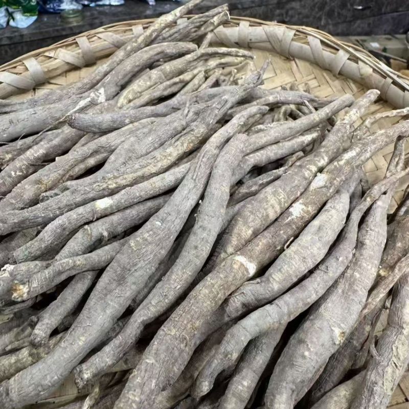 甜当归当归甜当归当归甜当归当归甜当归当归批发