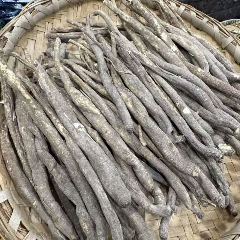 甜当归当归甜当归当归甜当归当归甜当归当归批发