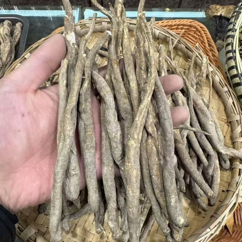 甜当归当归甜当归当归甜当归当归甜当归当归批发