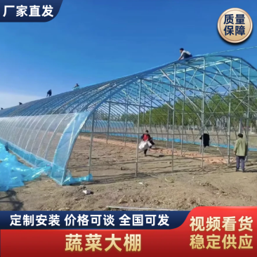 蔬菜大棚各种果蔬大棚厂家直发规格齐全