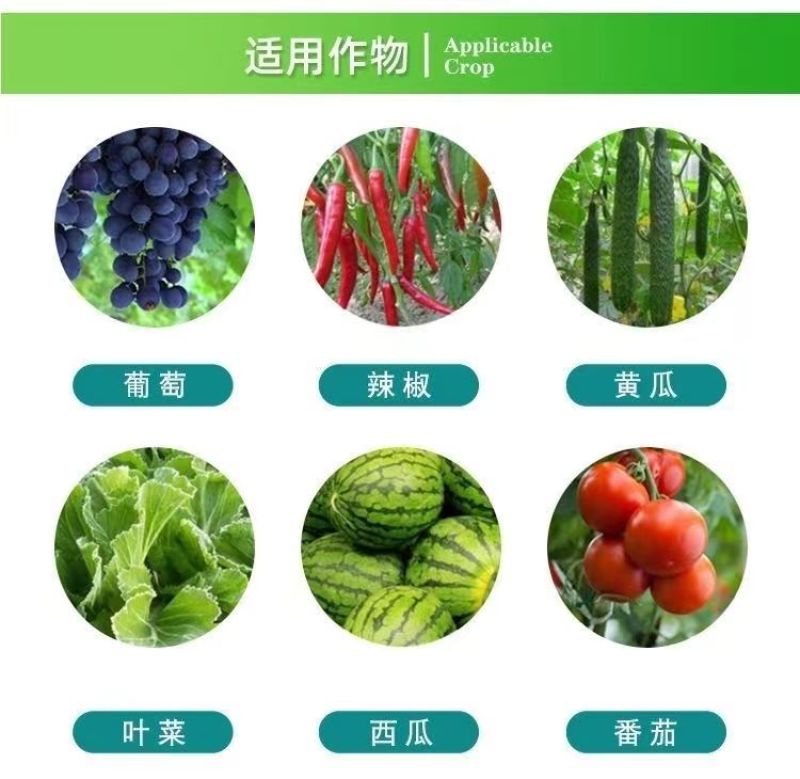 33%春雷喹啉铜杀菌剂治疗柑橘溃疡病溃疡病角斑病穿孔