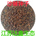 沙棘种子带刺植物沙棘酸刺种籽沙棘树种子水果种子