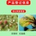 山东邦赛克10.5%阿维哒螨灵农用苹果树红蜘蛛杀螨剂批发
