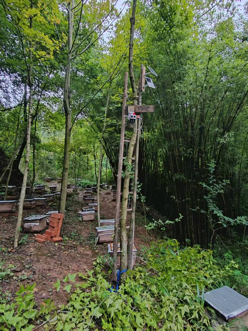 蜂蜜产地直发品质保证自家蜂场欢迎联系