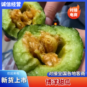 博洋九甜瓜品质保证服务周到品类优良