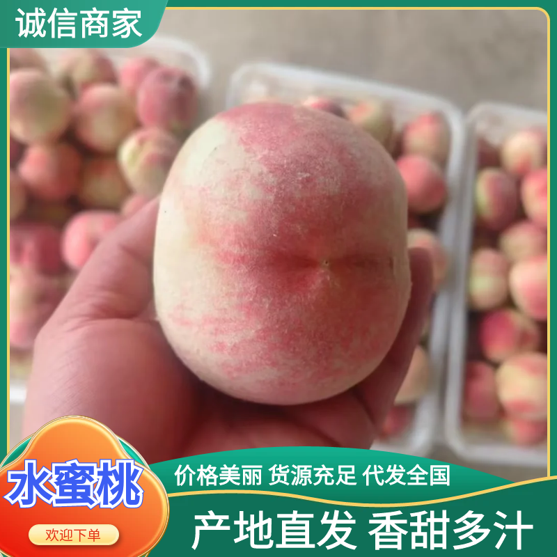 大棚水蜜桃品质保证产地直发价格美丽
