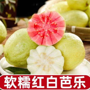 广西番石榴红心白心软芭乐承接市场礼盒定制电商等