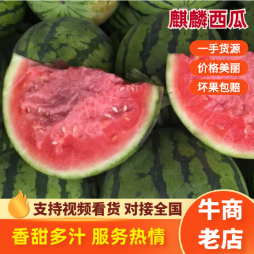 {牛商}美都西瓜大量上市，价格美丽，产地直发，欢迎来电