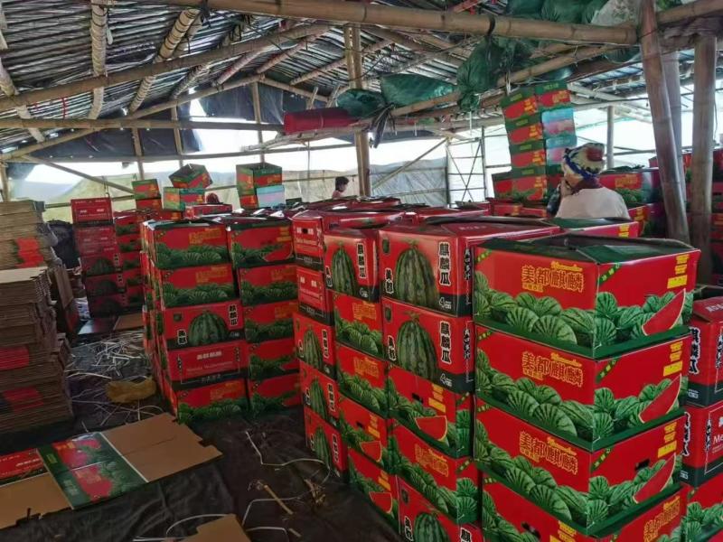 【麒麟西瓜】陕西蒲城产地直发质量上乘货源充足对接商超