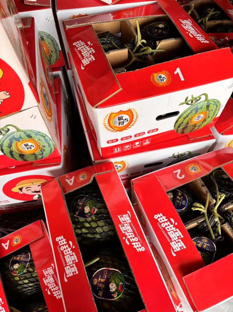 【麒麟西瓜】陕西蒲城产地直发质量上乘货源充足对接商超