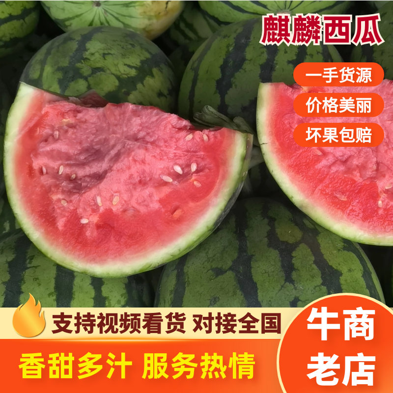 【优选】无籽美都西瓜夏邑产地直发对接全国量大价优