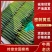 {牛商}河南夏邑县密刺黄瓜，大量上市，产地直发，欢迎来电
