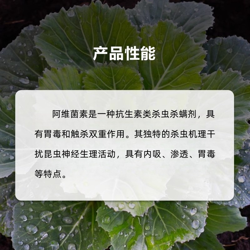 山东邦赛克5%阿维菌素农用梨树快速除梨木虱螨虫杀虫杀螨剂