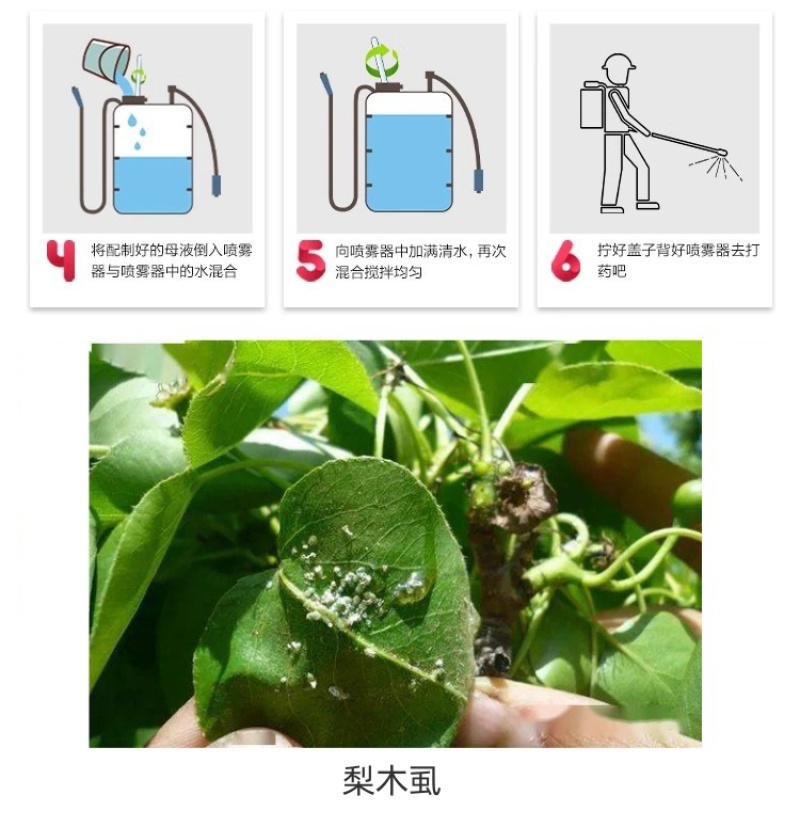 山东邦赛克5%阿维菌素农用梨树快速除梨木虱螨虫杀虫杀螨剂