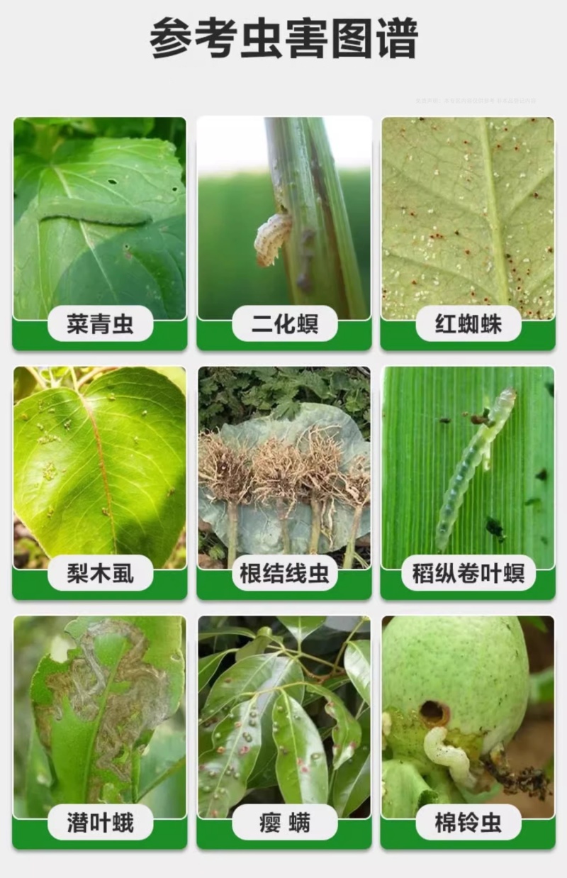 山东邦赛克5%阿维菌素农用梨树快速除梨木虱螨虫杀虫杀螨剂