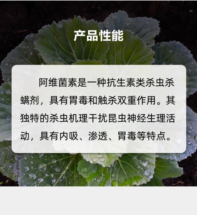 山东邦赛克5%阿维菌素农用梨树快速除梨木虱螨虫杀虫杀螨剂