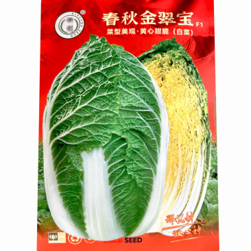 春黄大白菜种子黄秋金翠宝结球紧实口感脆嫩蔬菜基地种植