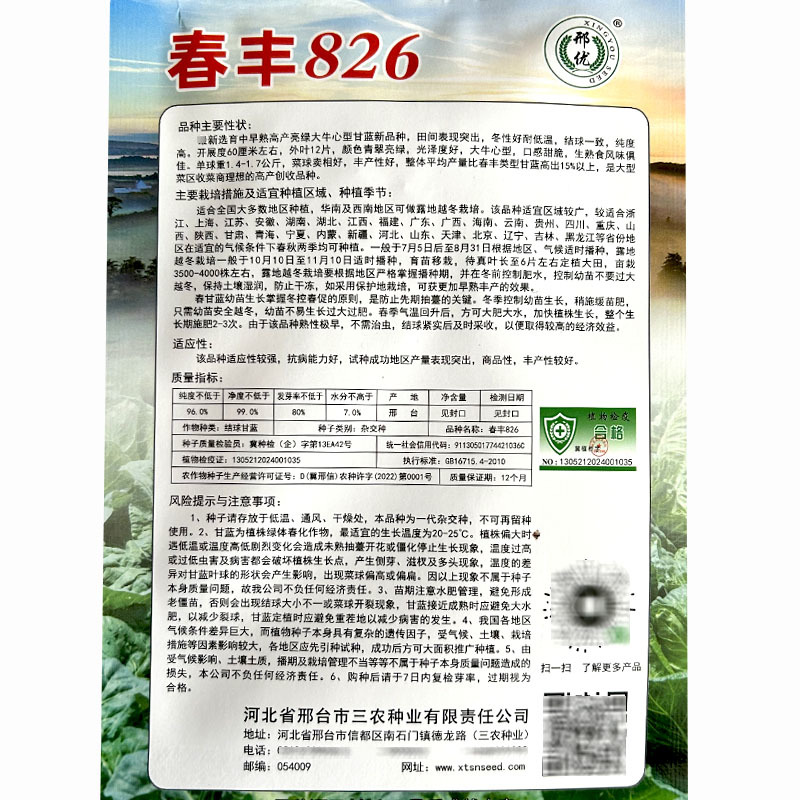 春丰826甘蓝种子大牛心型亮绿生吃脆甜脆高产基地