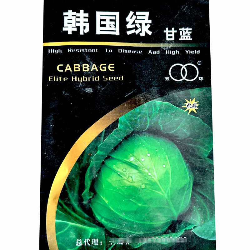 韩国绿甘蓝种子杂交圆球形叶色深绿紧实度好不易开裂