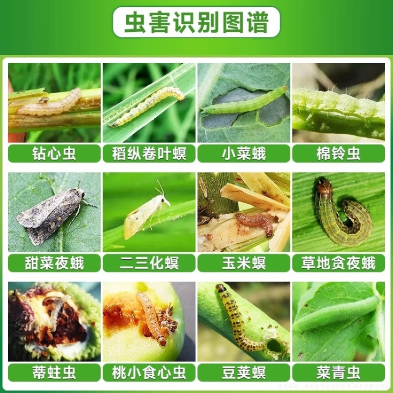 山东邦赛克黑猎手20%氯虫苯甲酰胺茚虫威甘蓝小菜蛾杀虫剂