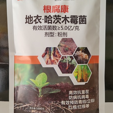 青岛肥佬鑫肥佬根腐康地衣·哈茨木霉菌