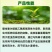 山东邦赛克佑虎22%噻虫高氯氟农用小麦田快速除蚜虫杀虫剂
