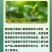 山东邦赛克佑虎22%噻虫高氯氟农用小麦田快速除蚜虫杀虫剂