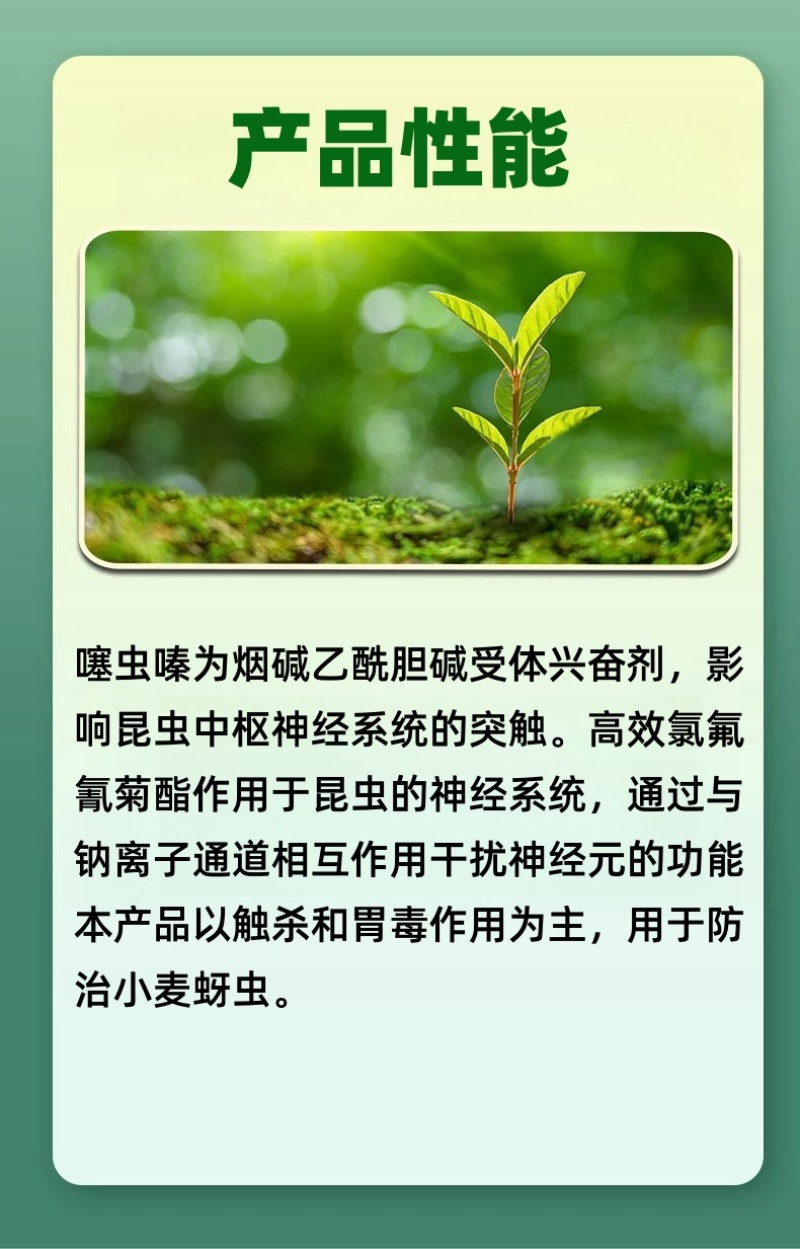 山东邦赛克佑虎22%噻虫高氯氟农用小麦田快速除蚜虫杀虫剂