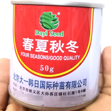 春夏秋冬萝卜种子50克罐装根皮白表皮光滑耐寒耐抽