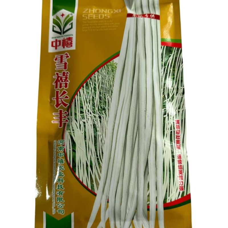 雪禧长丰豆角种子荚条粗壮连续结荚能力强早熟抗病